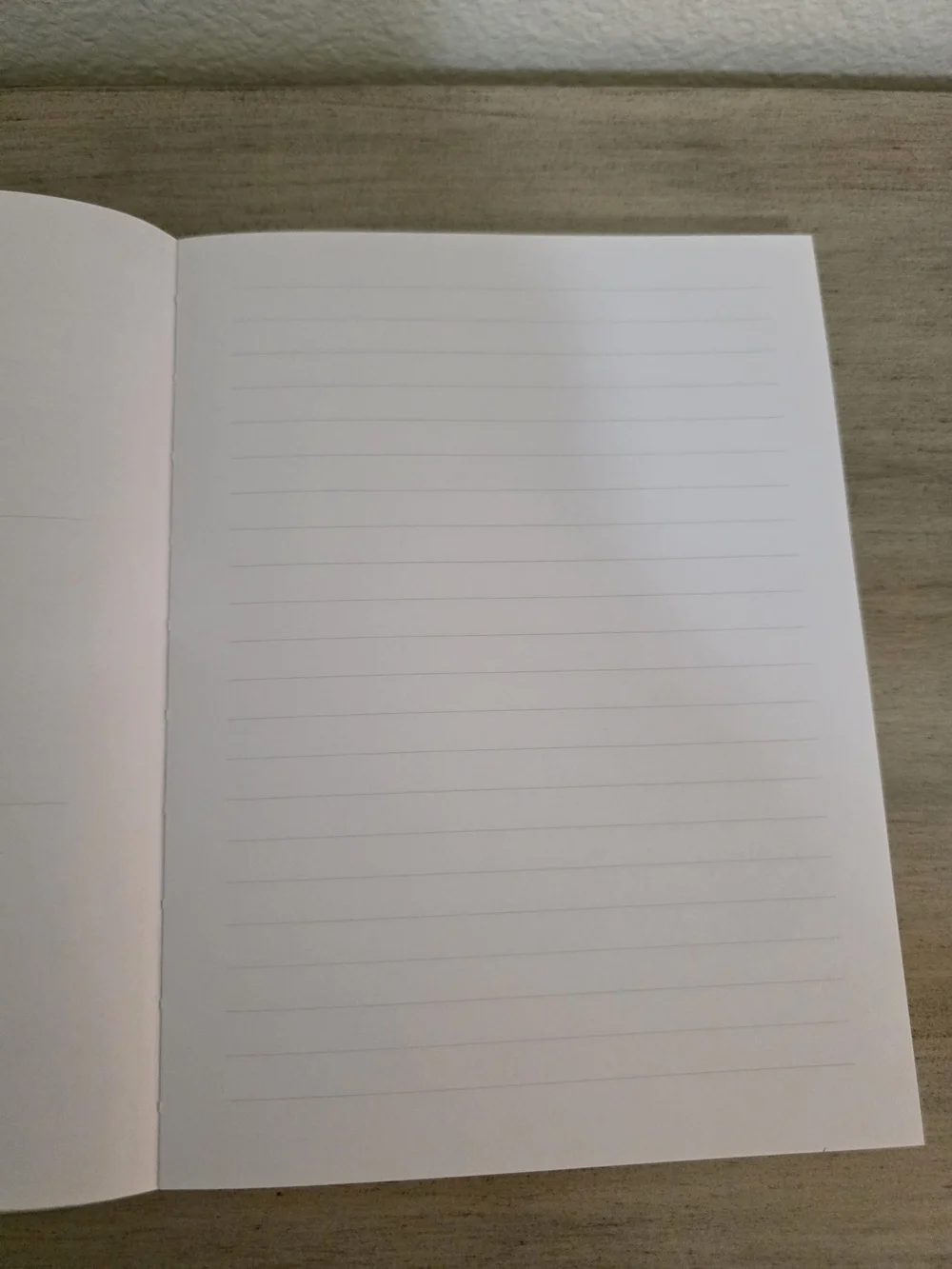 Shell & Sea Life Journal With Vinyl Cover